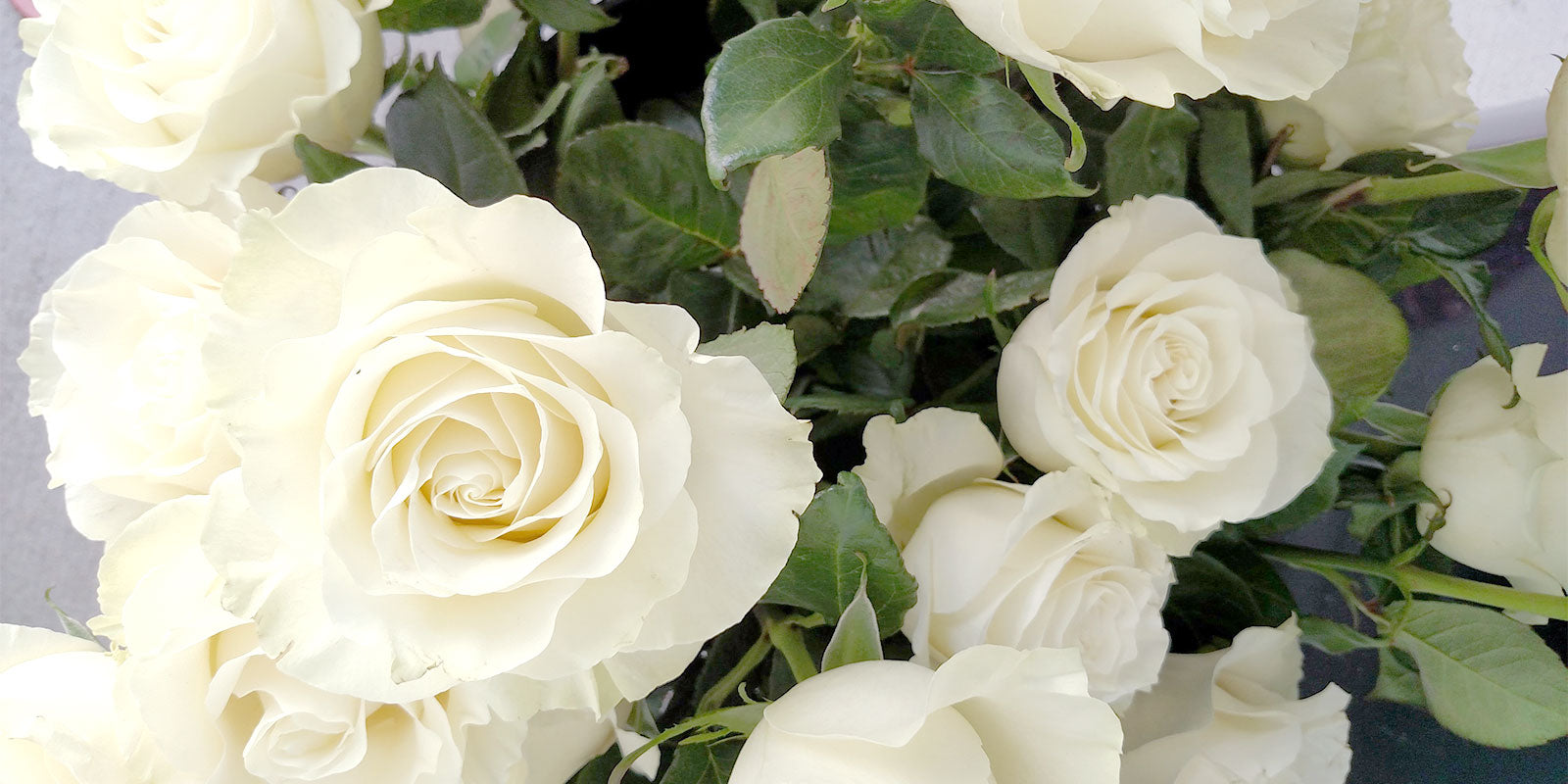 Wedding Consultation