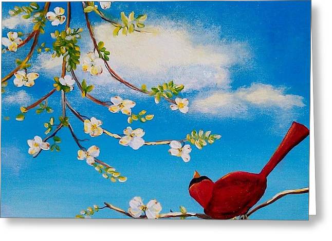 Cardinal on dogwood branch - Greeting Card