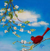 Cardinal on dogwood branch - Art Print