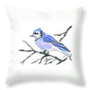 Blue Jay - Throw Pillow