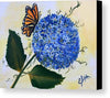 Butterfly kisses Hydrangea  - Canvas Print