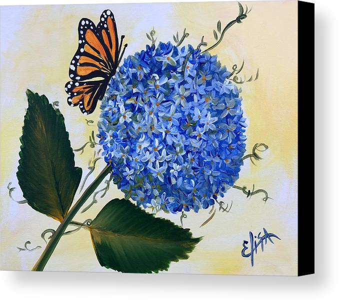 Butterfly kisses Hydrangea  - Canvas Print