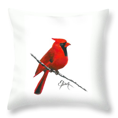 Cardinal - Throw Pillow