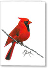 Cardinal - Greeting Card