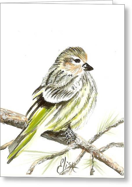 Pine Siskin Finch - Greeting Card