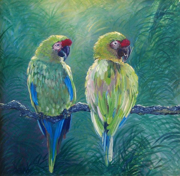 Love Birds - Art Print