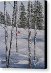 Winter Snow - Canvas Print